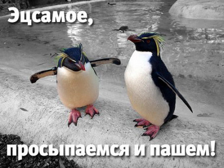 Это самое.. Просыпаемся и пашем!