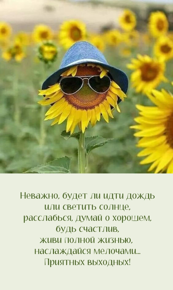 Неважно, будет ли идти дождь или светить солнце, расслабься