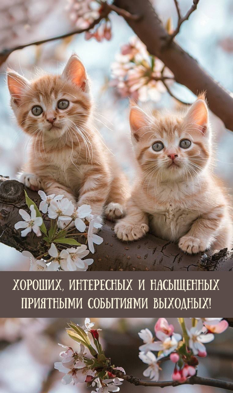 Хороших, интересных и насыщенных приятными событиями выходных!
