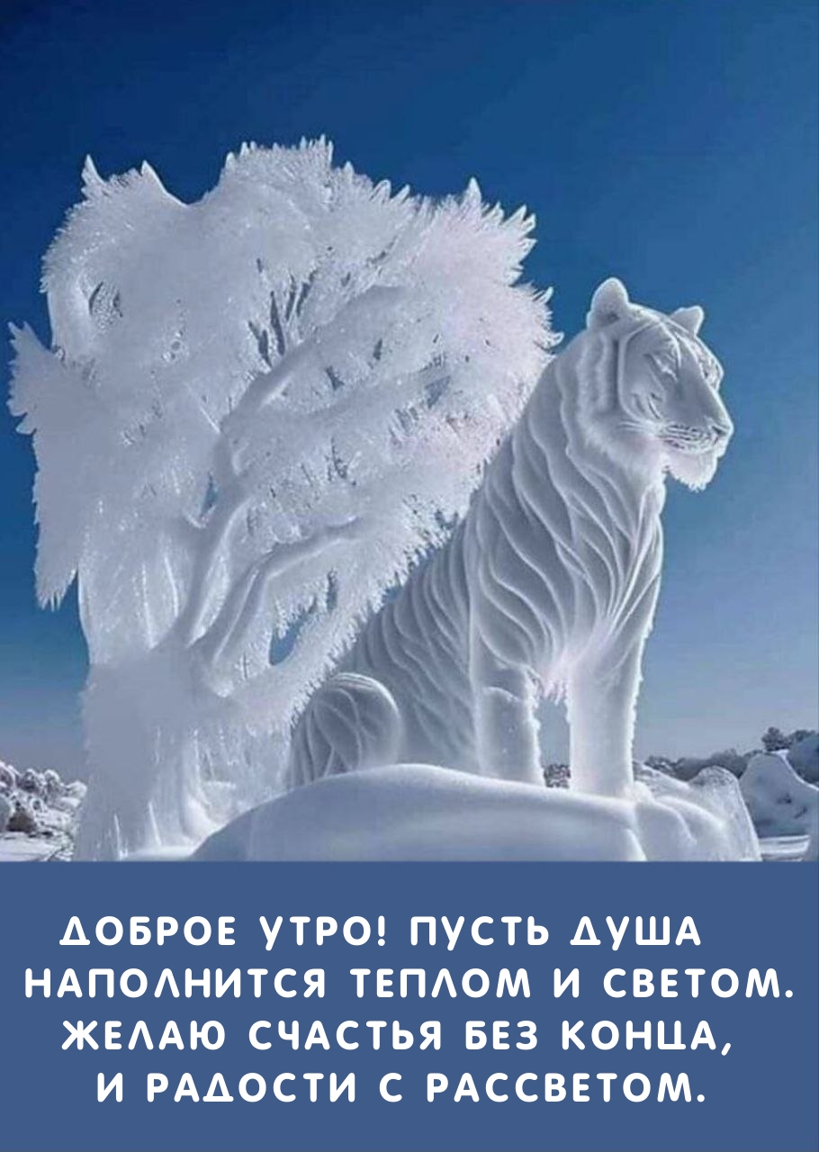 Доброе утро! Пусть душа наполнится теплом и светом.