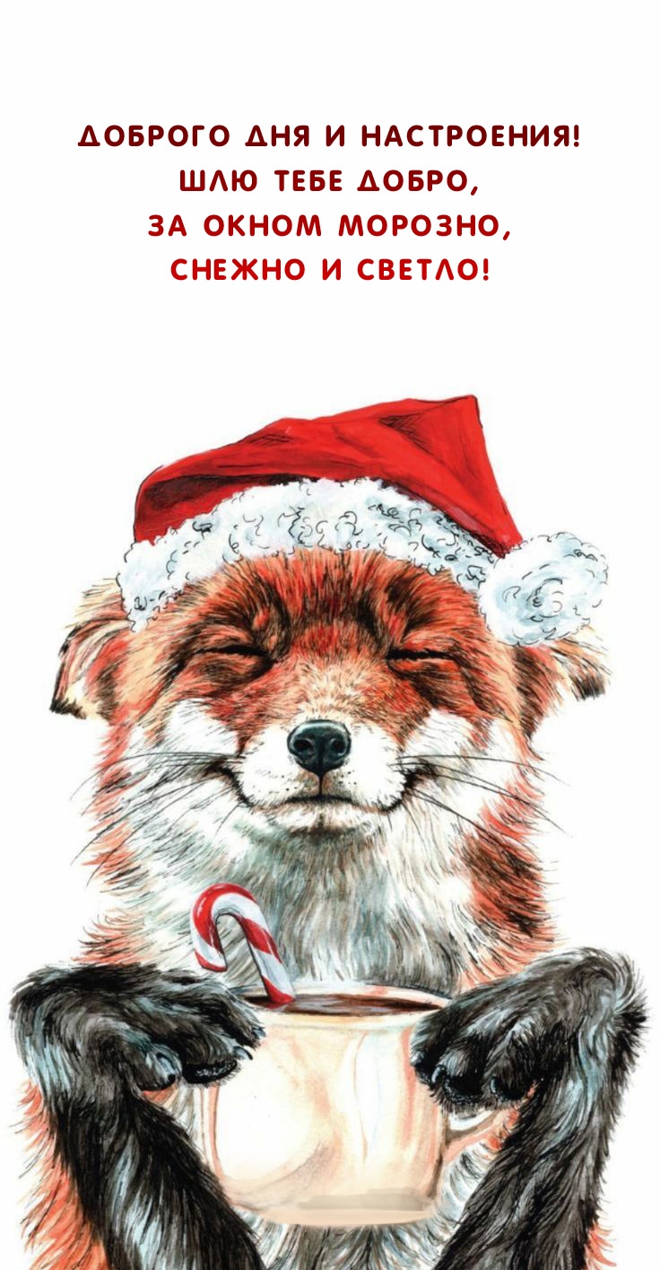 Доброго дня и настроения! Шлю тебе добро, за окном морозно