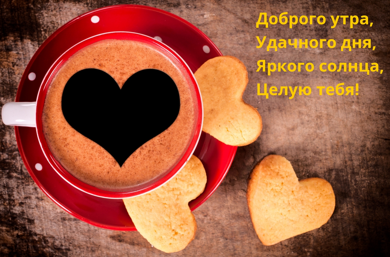 Доброго утра, Удачного дня, Яркого солнца, Целую тебя!