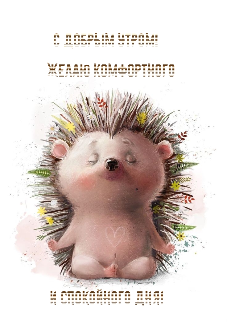 С Добрым утром! Желаю комфортного и спокойного дня!