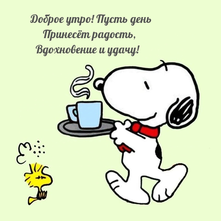 Доброе утро! Пусть день принесёт радость, вдохновение и удачу!