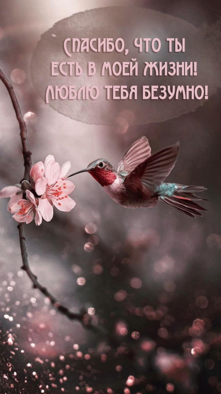 Спасибо, что ты есть в моей жизни! Люблю тебя безумно!