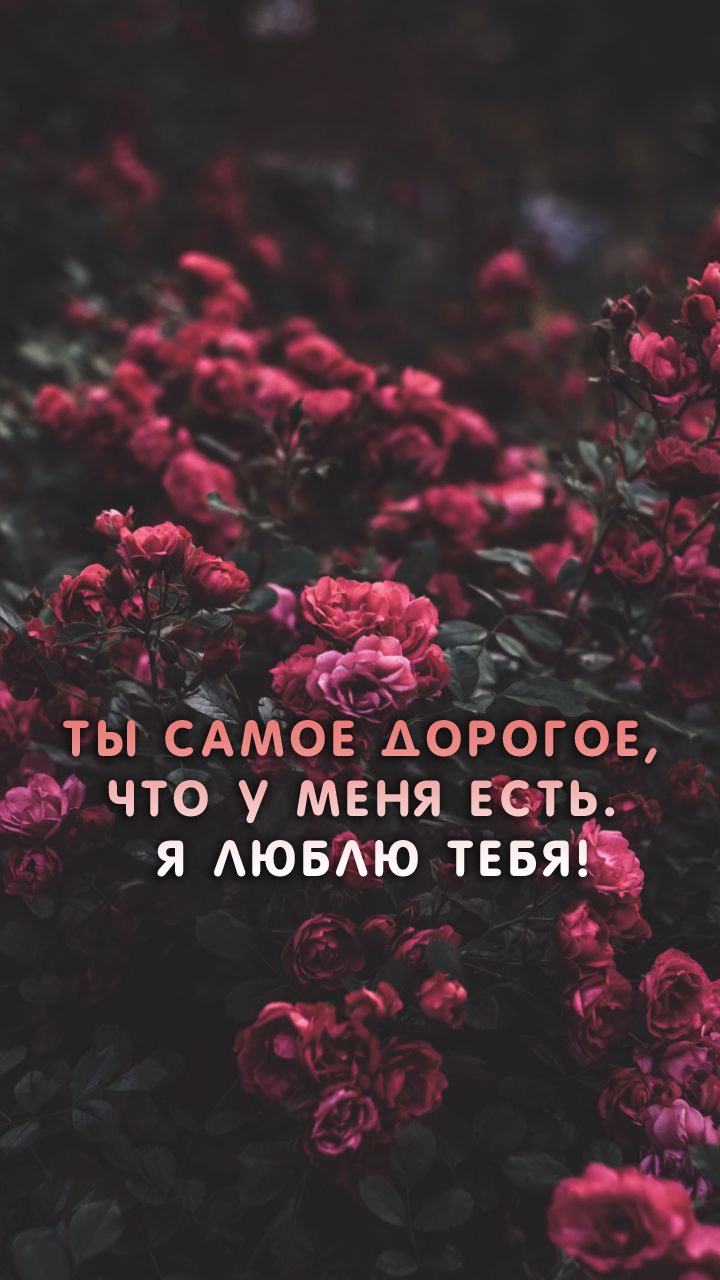 Ты самое дорогое, что у меня есть. Я люблю тебя!