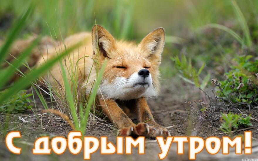 С добрым утром!