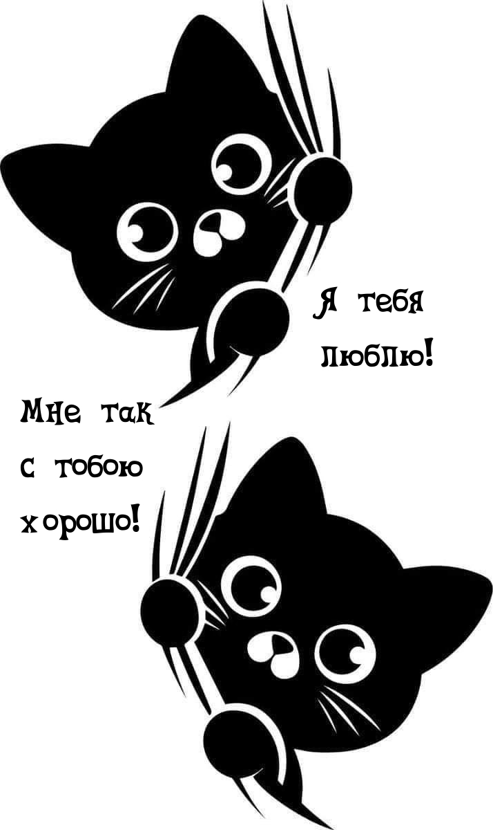 Я тебя люблю! Мне так с тобою хорошо!