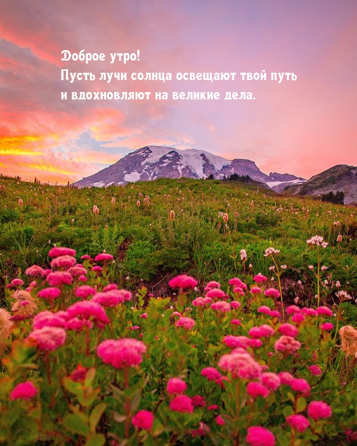 Доброе утро! Пусть лучи солнца освещают твой путь и вдохновляют