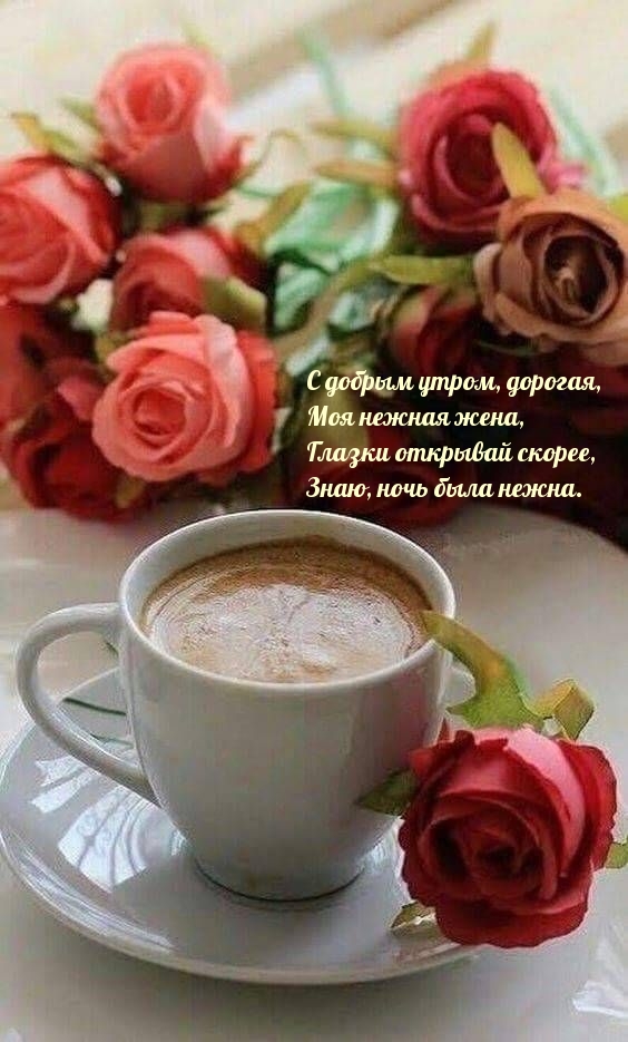 С добрым утром, дорогая, моя нежная жена