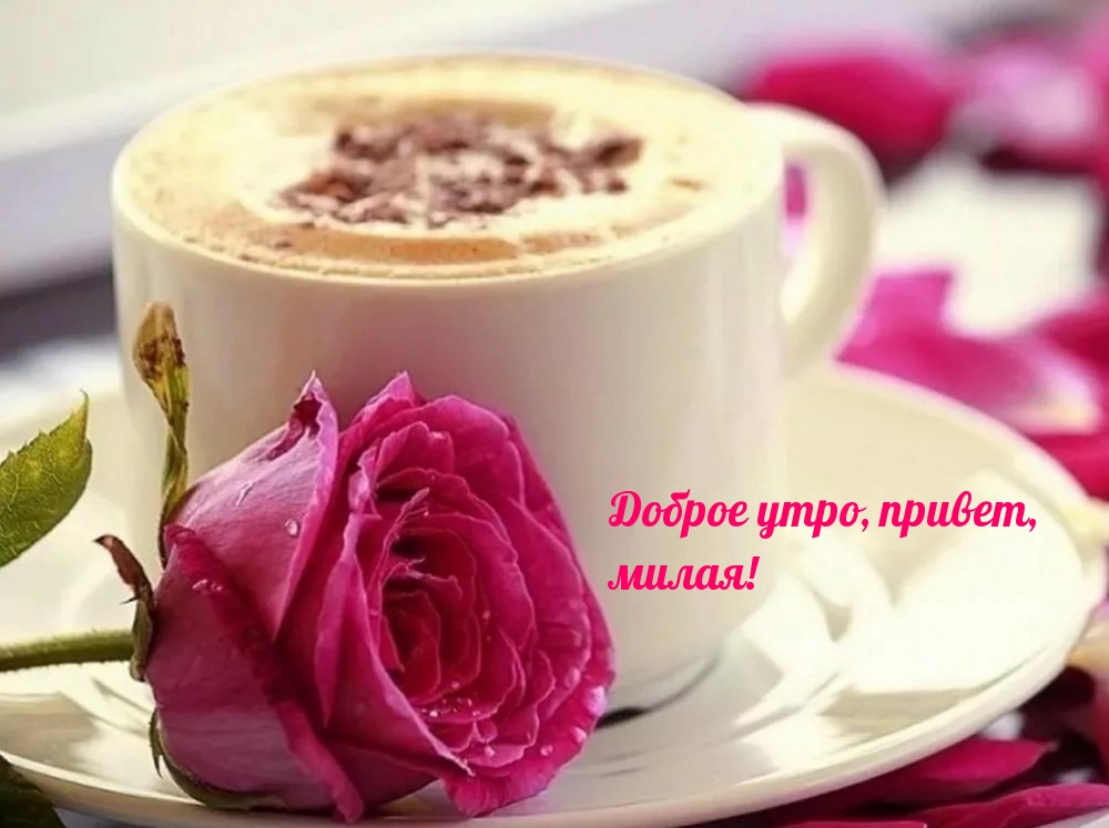 Доброе утро, привет, милая!