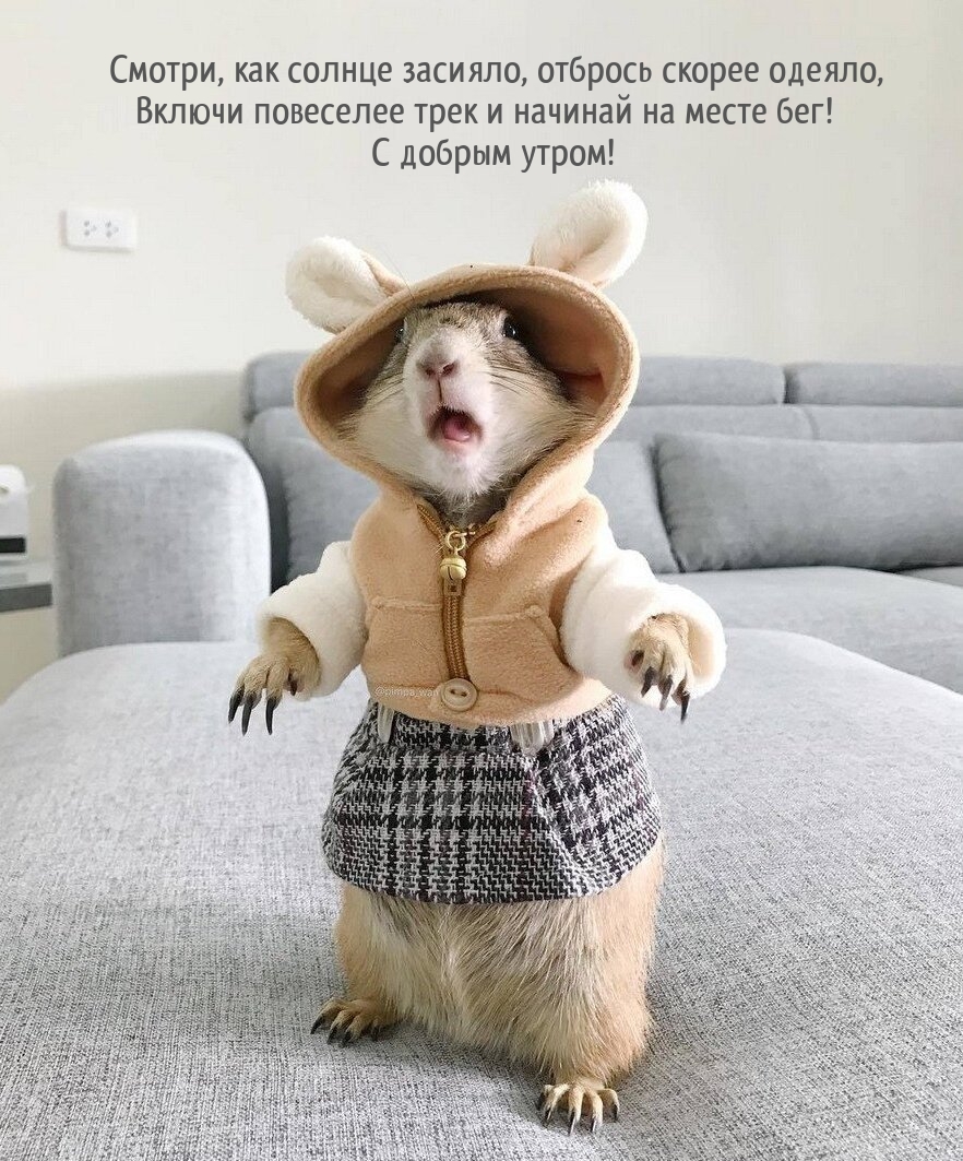 С добрым утром! Смотри, как солнце засияло, отбрось скорее одеяло