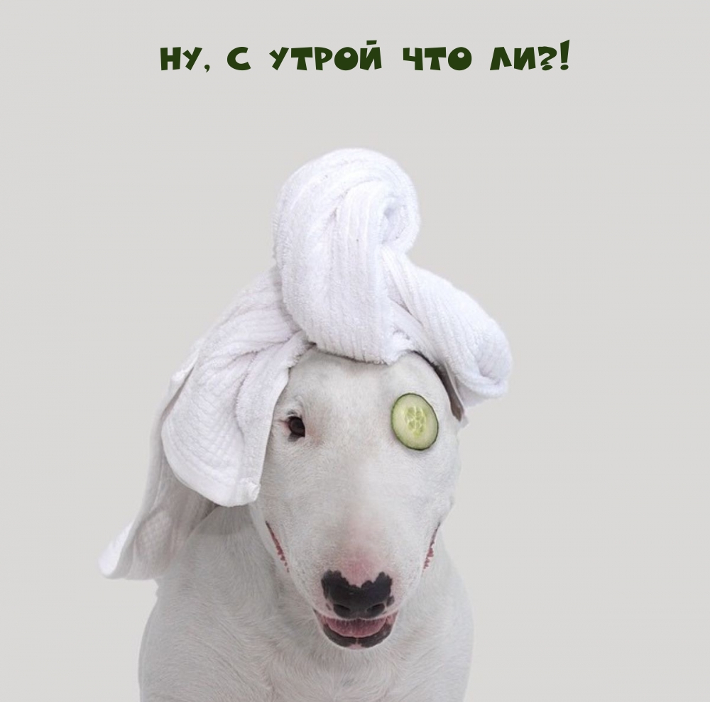 Ну, с утрой что ли?!