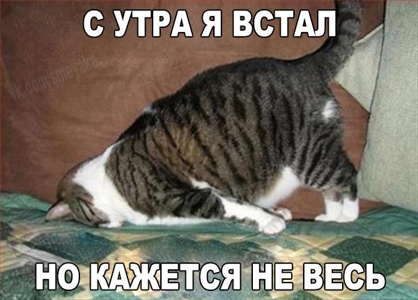 С утра я встал, но кажется не весь