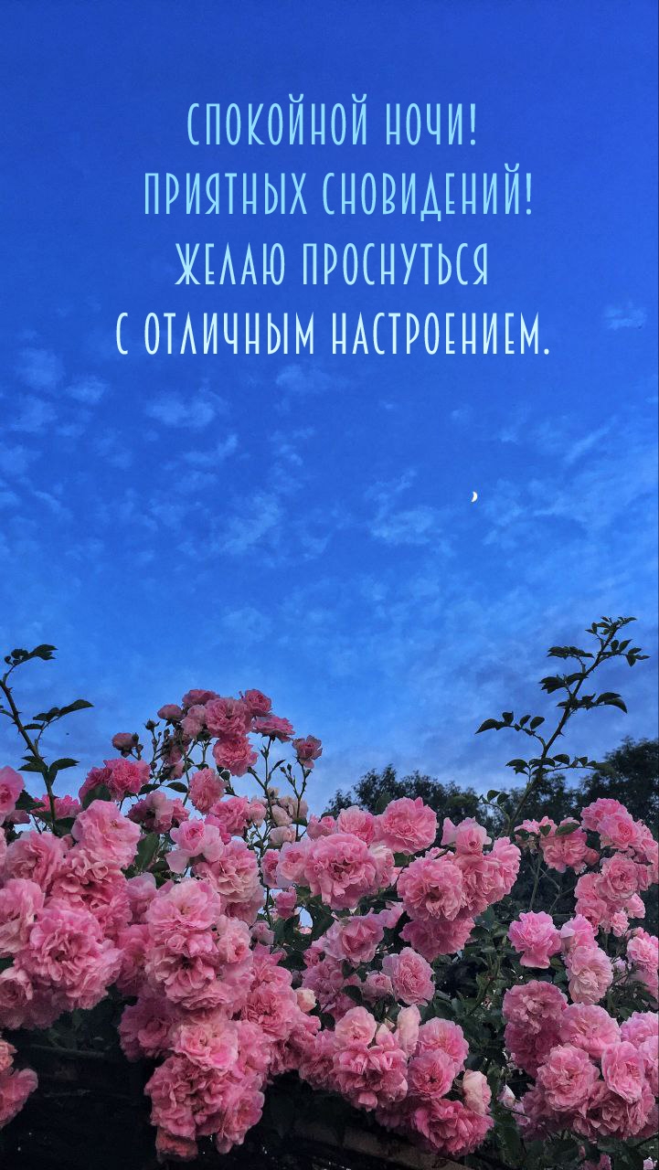 Спокойной ночи! Приятных сновидений!