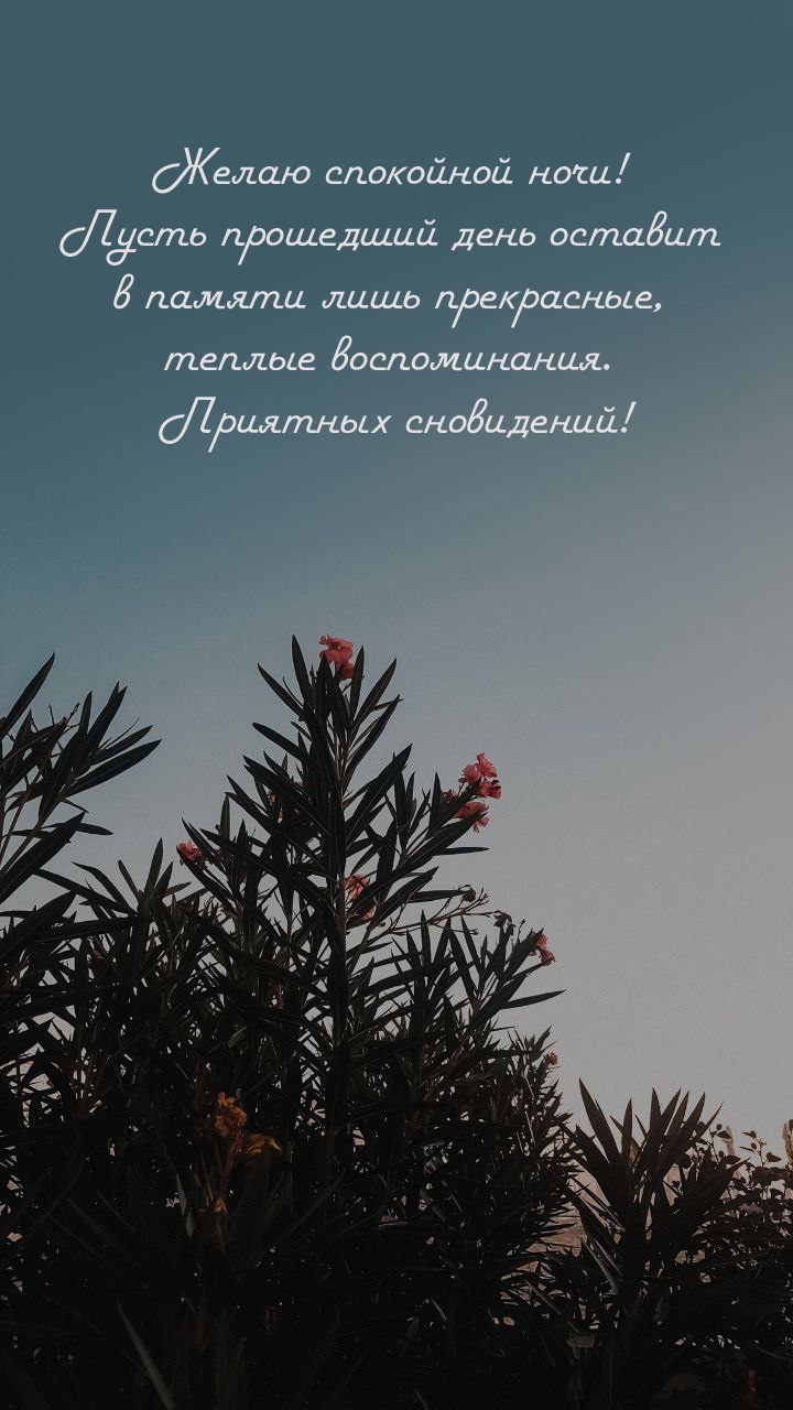 Пусть прошедший день оставит в памяти лишь прекрасные воспоминания.