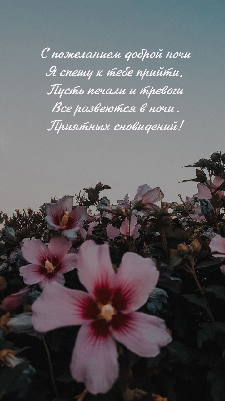 С пожеланием доброй ночи я спешу к тебе прийти