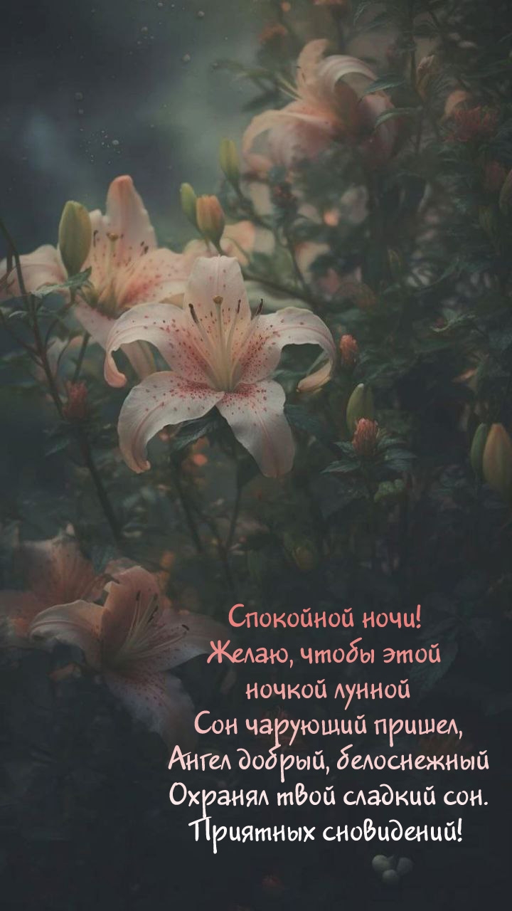 Спокойной ночи! Чтобы этой ночкой лунной сон чарующий пришел