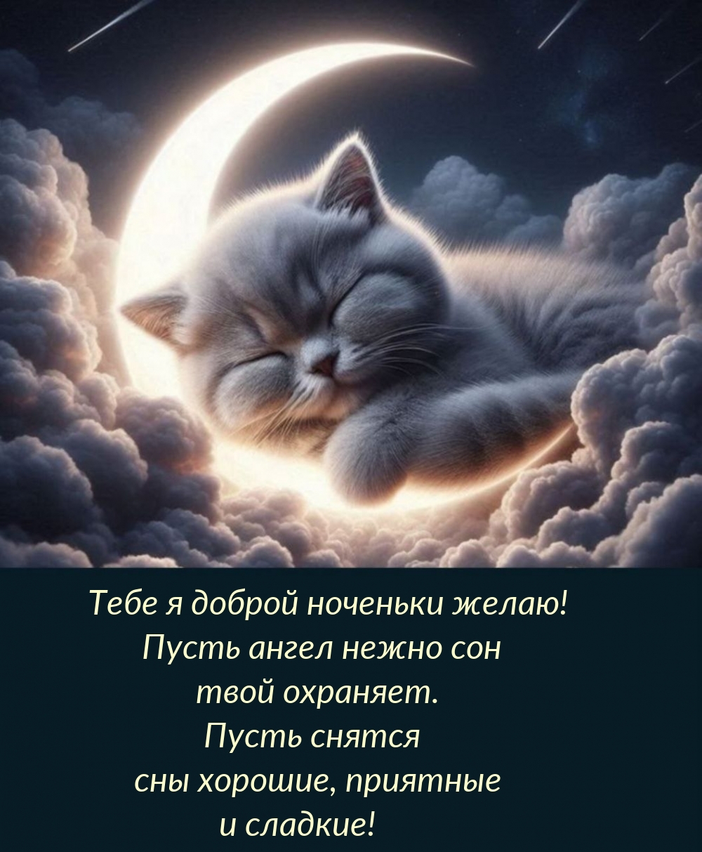 Тебе я доброй ноченьки желаю! Пусть ангел нежно сон твой охраняет.