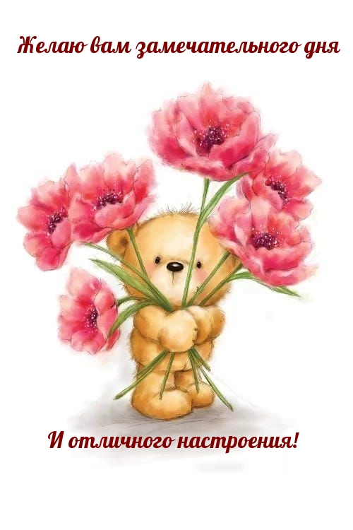 Желаю вам замечательного дня и отличного настроения!