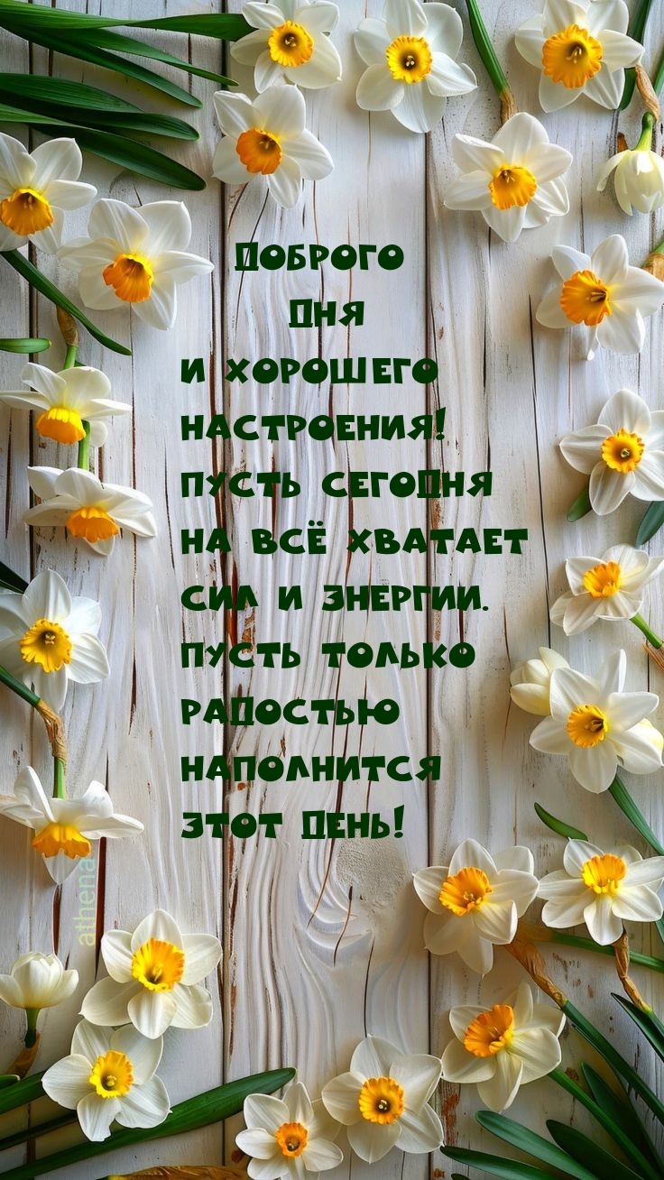 Доброго дня и хорошего настроения! Пусть сегодня на всё хватает сил и энергии.