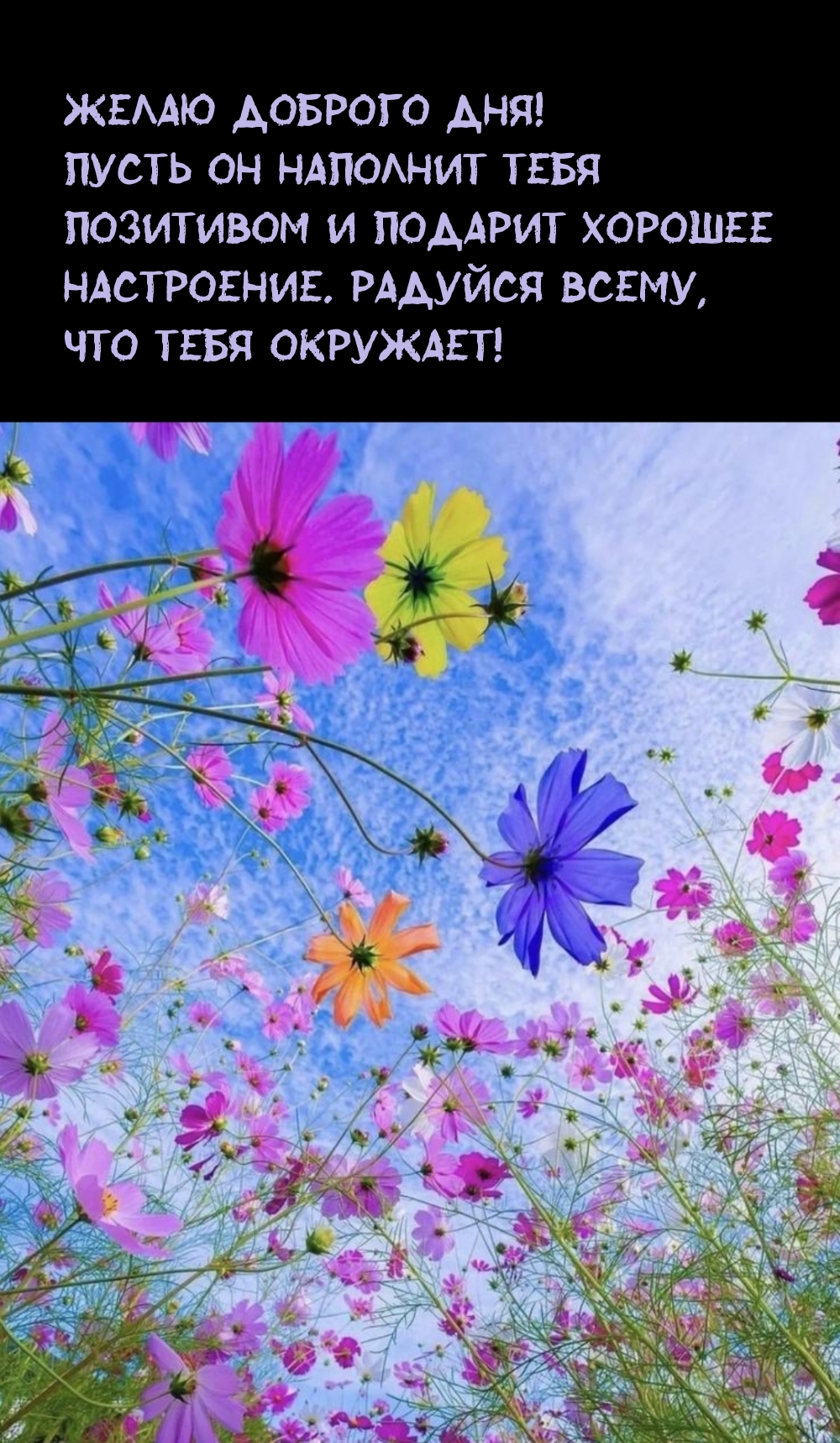 Желаю доброго дня! Пусть он наполнит тебя позитивом
