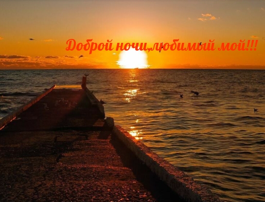 Доброй ночи, любимый мой!