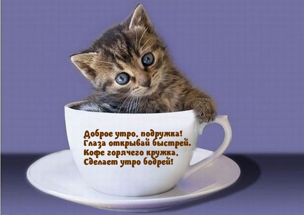 Доброе утро, подружка! Глаза скорее открывай!