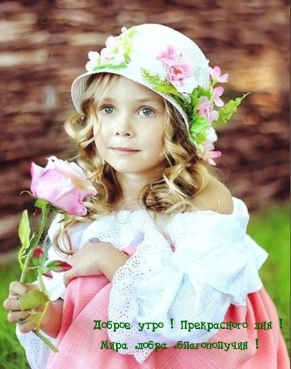 Доброе утро! Прекрасного дня! Мира добра благополучия!