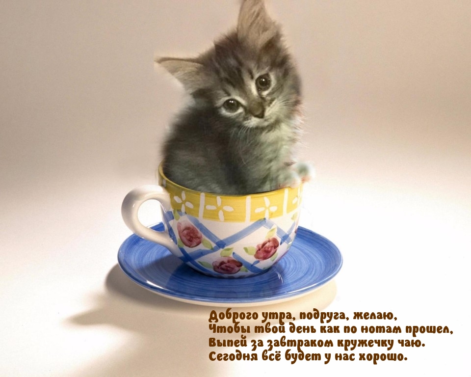 Доброго утра, подруга!