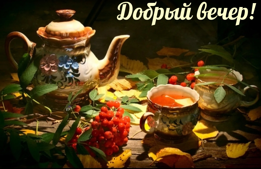 Добрый вечер!