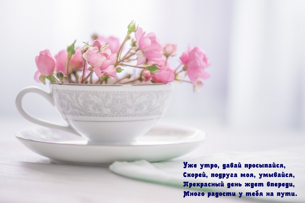 Уже утро, давай просыпайся, подруга моя!