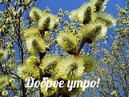 Доброе утро!