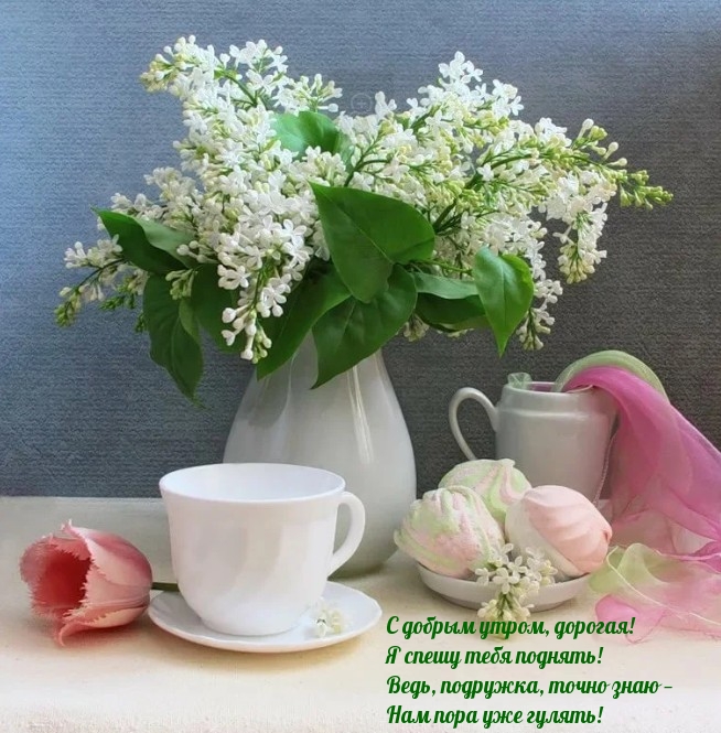 С добрым утром, дорогая!