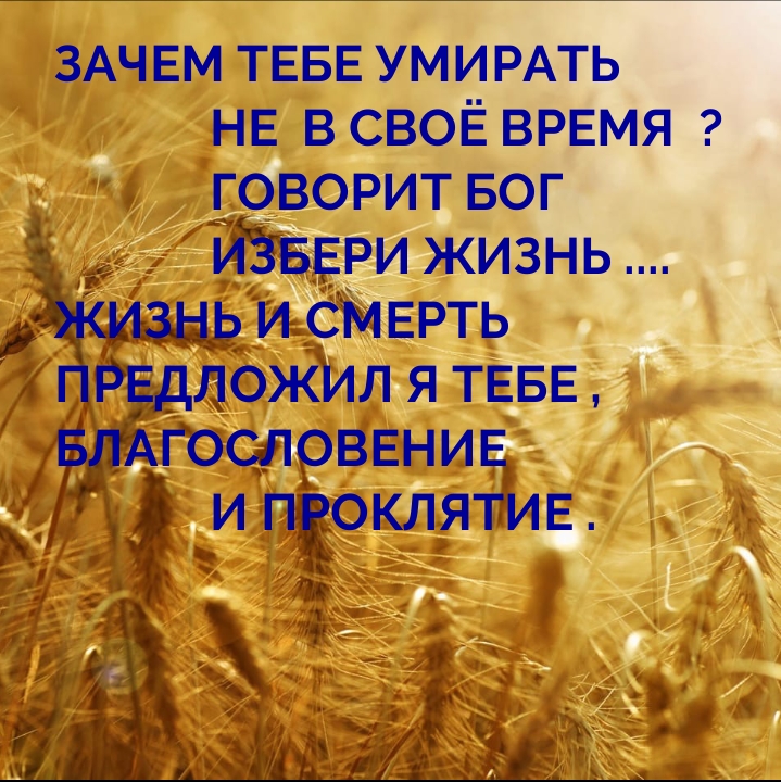 Зачем тебе умирать не  в своё время? Говорит бог избери жизнь…