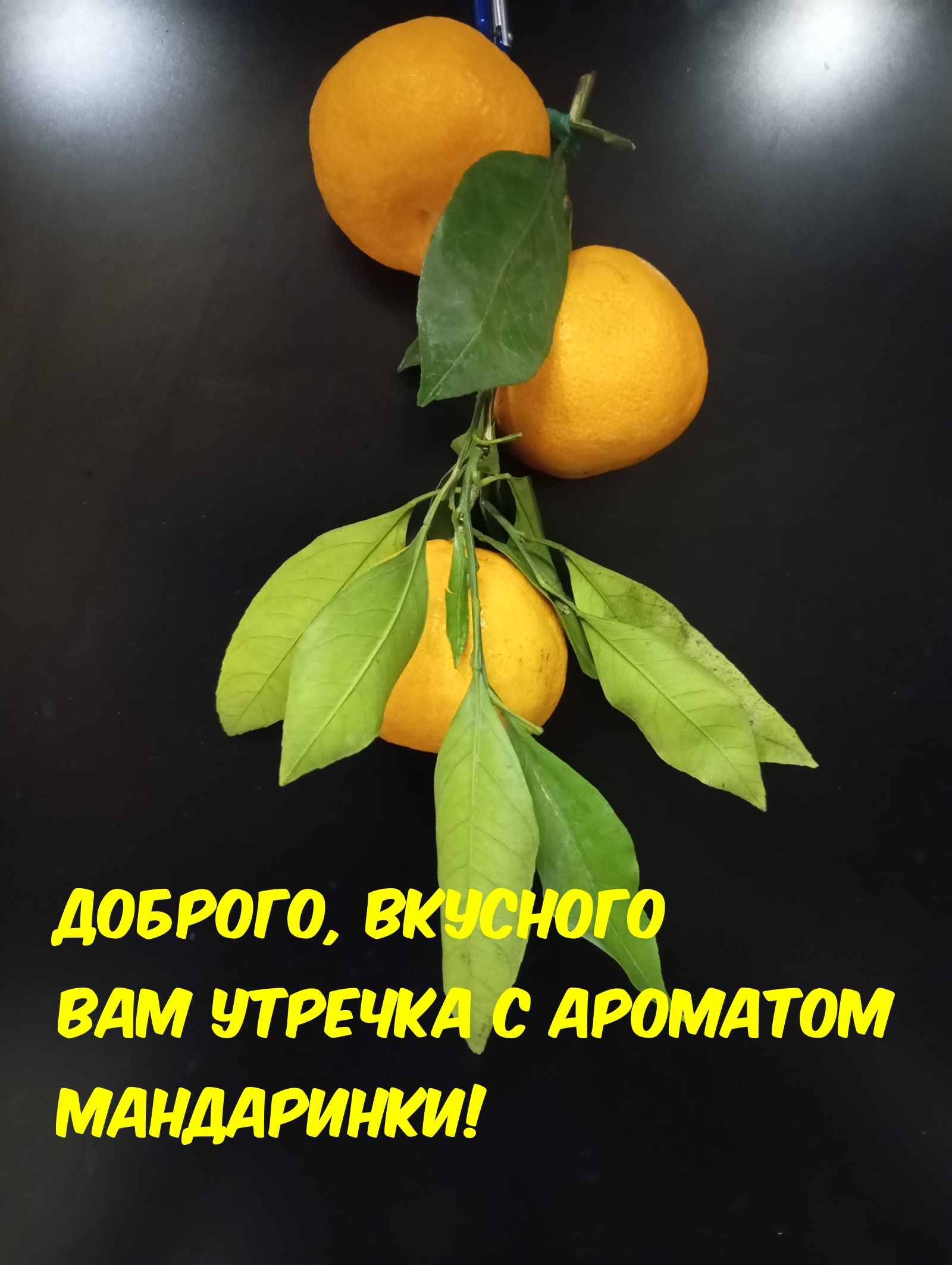 Доброго, вкусного вам утречка с ароматом мандаринки!