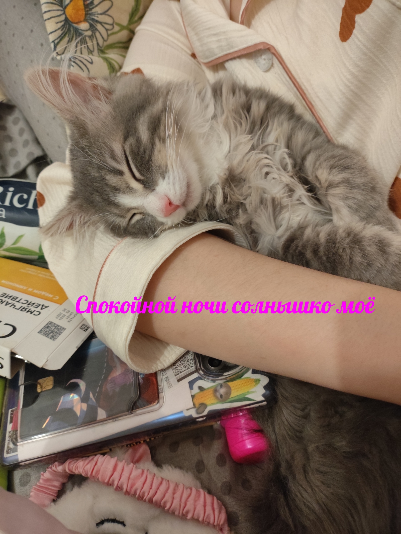Спокойной ночи солнышко моё ❤️