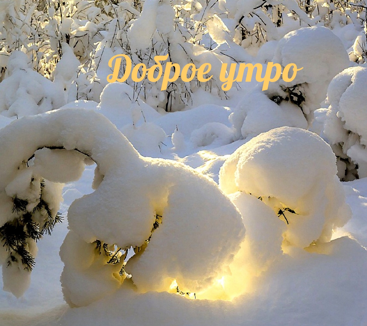 Доброе утро