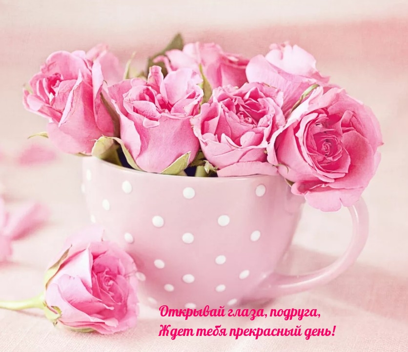 Открывай глаза, подруга, Ждет тебя прекрасный день!