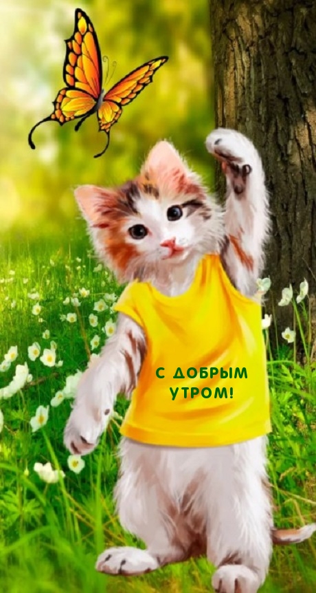 С добрым Утром!