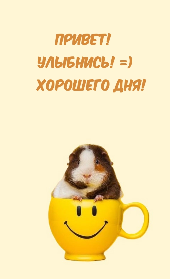 Привет! Улыбнись! =) Хорошего дня!