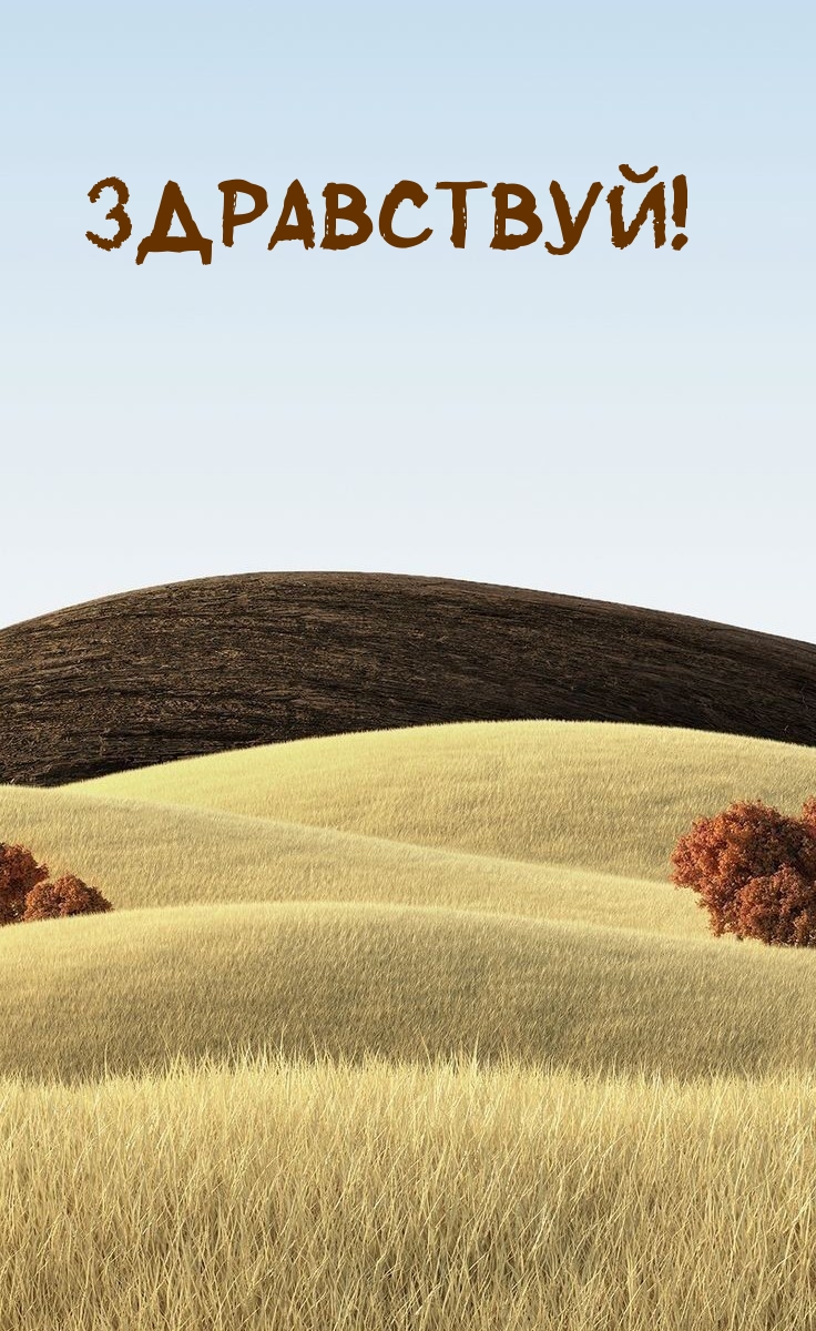 Здравствуй!