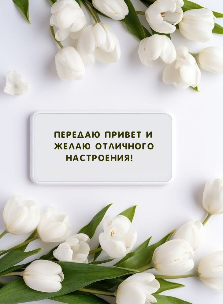Передаю привет и желаю отличного настроения!