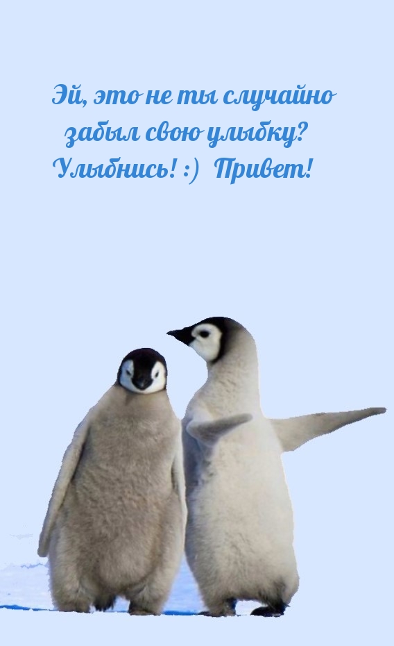 Эй, это не ты случайно забыл свою улыбку? Улыбнись! :)  Привет!