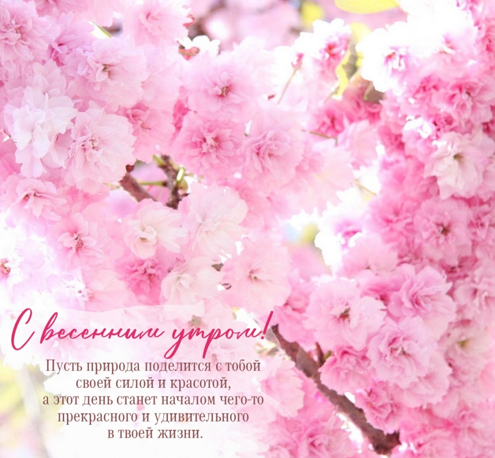 С весенним утром! Пусть природа поделится с тобой