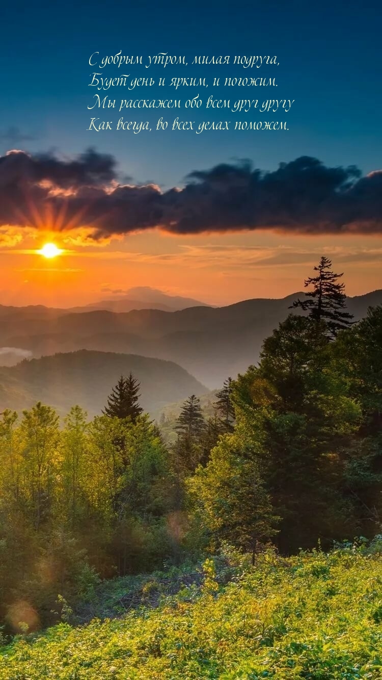 С добрым утром, милая подруга!