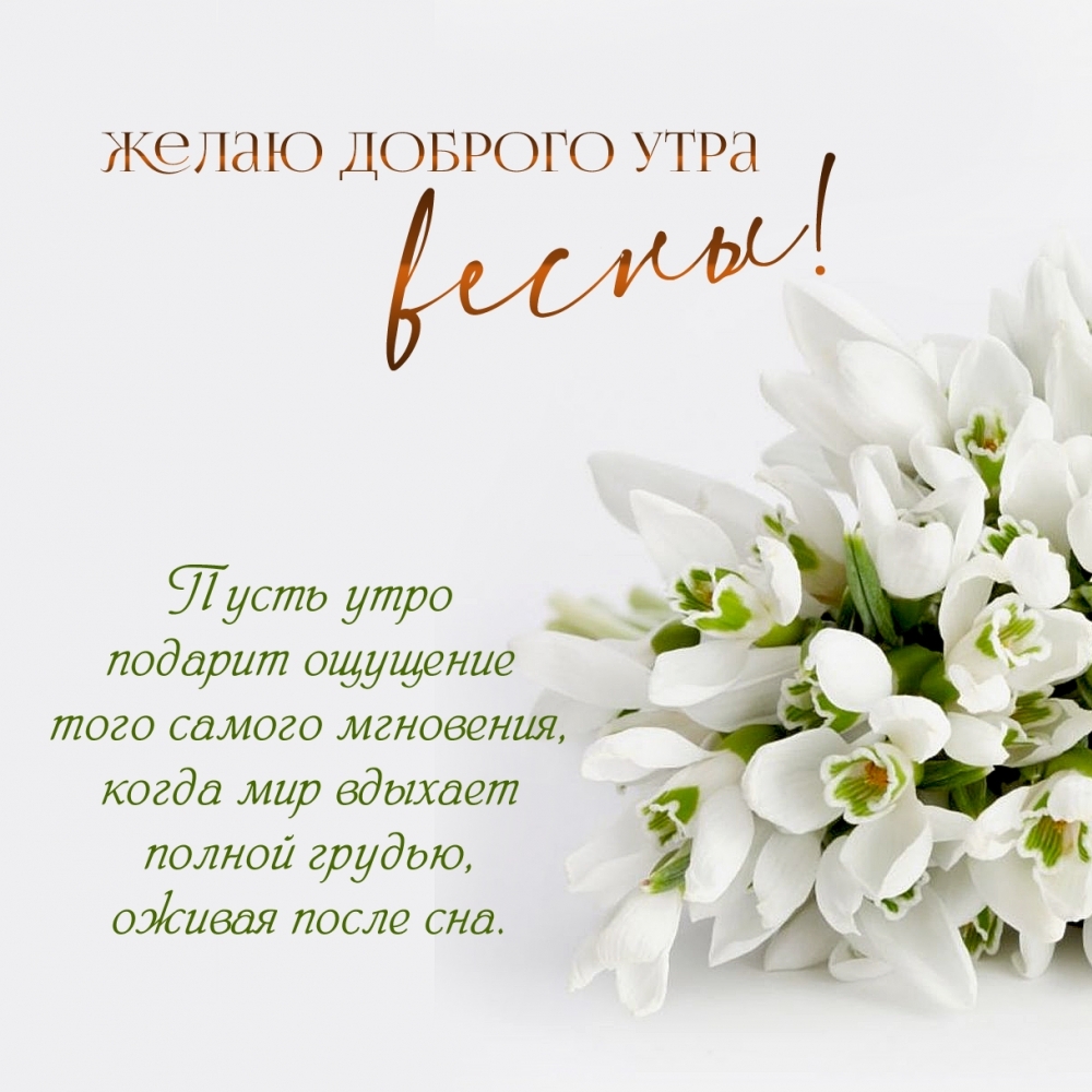 Пусть утро подарит ощущение того самого мгновения, когда мир вдыхает полной грудью