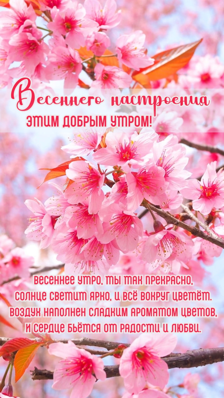 Весеннего настроения этим добрым утром!