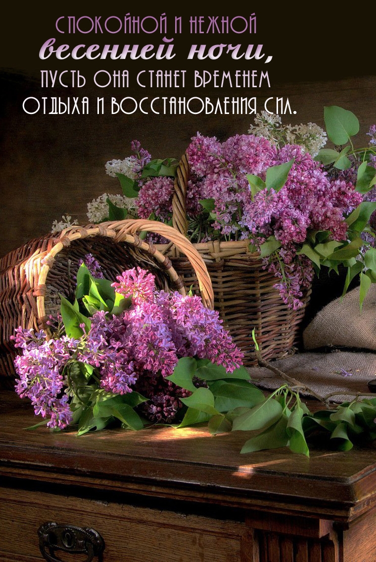 Спокойной и нежной весенней ночи, пусть она станет временем отдыха и восстановления сил