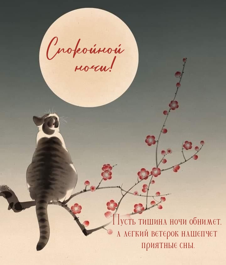 Пусть тишина ночи обнимет, а легкий ветерок нашепчет приятные сны